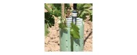 Elimina los brotes y chupones de olivas y viñas con y sin protecciones